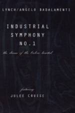 Watch Industrial Symphony No 1 The Dream of the Brokenhearted Merdb
