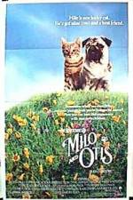 Watch Milo and Otis Merdb