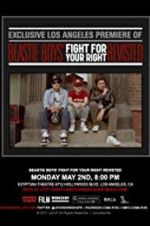 Watch Beastie Boys: Fight for Your Right Revisited Merdb
