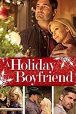 Watch A Holiday Boyfriend Merdb