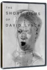 Watch The Short Films of David Lynch Merdb