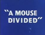 Watch A Mouse Divided (Short 1953) Merdb