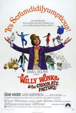 Watch Willy Wonka & the Chocolate Factory Merdb
