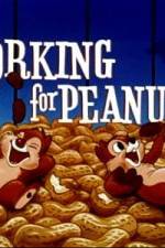 Watch Working For Peanuts Merdb