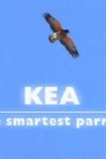 Watch Kea - The Smartest Parrot Merdb