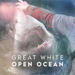 Watch Great White Open Ocean Merdb
