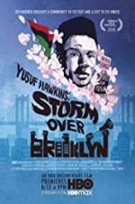 Watch Yusuf Hawkins: Storm Over Brooklyn Merdb