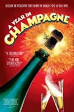 Watch A Year in Champagne Merdb