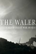 Watch The Waler: Australia\'s Great War Horse Merdb