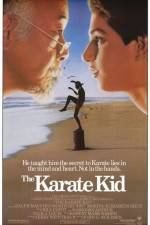 Watch The Karate Kid Merdb