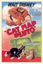 Watch Cat Nap Pluto Merdb