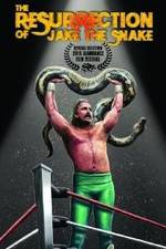 Watch The Resurrection of Jake The Snake Roberts Merdb