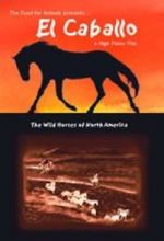 Watch El Caballo: The Wild Horses of North America Merdb