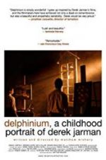 Watch Delphinium: A Childhood Portrait of Derek Jarman Merdb