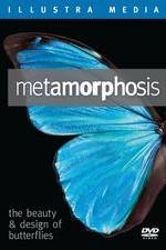 Watch Metamorphosis: The Beauty and Design of Butterflies Merdb