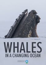 Watch Whales in a Changing Ocean (Short 2021) Merdb