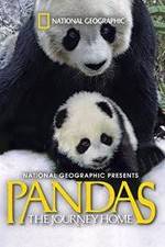 Watch Pandas: The Journey Home Merdb
