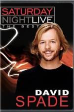 Watch Saturday Night Live The Best of David Spade Merdb