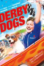 Watch Derby Dogs Merdb
