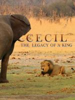 Watch Cecil: The Legacy of a King Merdb