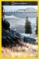 Watch National Geographic Yellowstone Winter Merdb