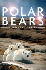 Watch Polar Bears: A Summer Odyssey Merdb