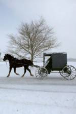 Watch Leaving Amish Paradise Merdb