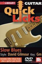 Watch Lick Library Quick Licks David Gilmour Merdb
