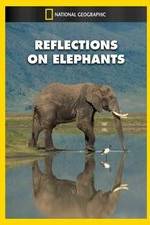 Watch Reflections on Elephants Merdb