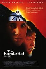 Watch The Karate Kid Part III Merdb