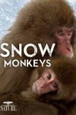 Watch Nature: Snow Monkeys Merdb