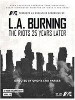 Watch L.A. Burning: The Riots 25 Years Later Merdb