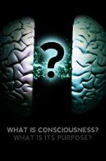 Watch What Is Consciousness? What Is Its Purpose? Merdb