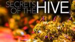 Watch Secrets of the Hive Merdb