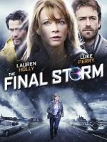 Watch The Final Storm Merdb