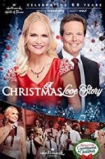 Watch A Christmas Love Story Merdb