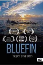 Watch Bluefin Merdb