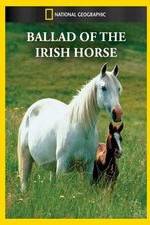 Watch Ballad of the Irish Horse Merdb