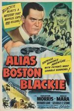 Watch Alias Boston Blackie Merdb
