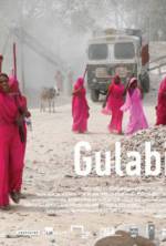 Watch Gulabi Gang Merdb