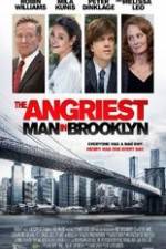 Watch The Angriest Man in Brooklyn Merdb