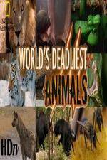 Watch National Geographic - Worlds Deadliest Animal Battles Merdb