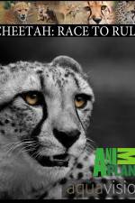 Watch Cheetah: Race to Rule Merdb