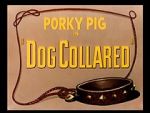 Watch Dog Collared (Short 1950) Merdb