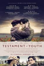 Watch Testament of Youth Merdb