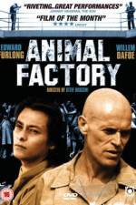 Watch Animal Factory Merdb