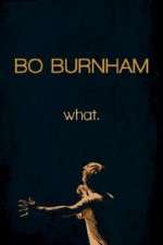 Watch Bo Burnham: what Merdb