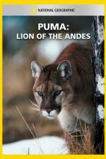 Watch National Geographic  Puma: Lion of the Andes Merdb