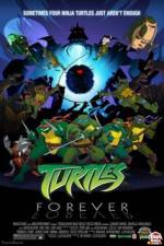 Watch Teenage Mutant Ninja Turtles Turtles Forever Merdb