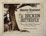 Watch The Broken Butterfly Merdb